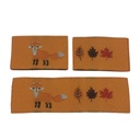 5er Set Kreativartikel.ch Weblabel Fuchs Herbstblätter 15 x 23mm 630 9961 000 offen