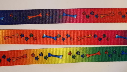 [350 6919 999] Ripsband Regenbogen mit Knochen 19mm